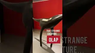Understanding OLAP  🥊