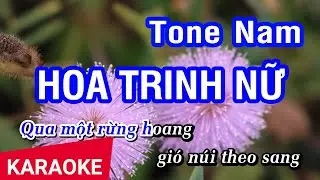 Karaoke Hoa Trinh Nữ Tone Nam | Nhan KTV