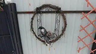 Что оборвало, что разорвало, а что отвалилось! Вот что мы увидели на даче , после зимы! Планы!