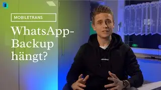 WhatsApp-Backup hängt? So funktioniert's wieder