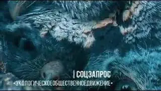 Саксикий район с.Крымское