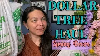 DOLLAR TREE HAUL | SPRING DECOR | Stacy Miller