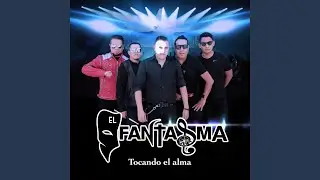 Como Tu