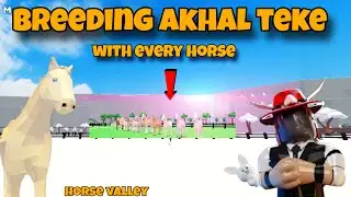 I bred Akhal-teke with every horse in Horse Valley