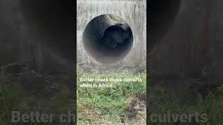 Check those culverts folks…when in Africa..