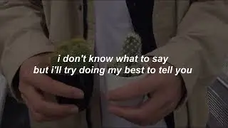 grey dugan - plant-sitting this weekend // lyrics