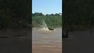 Kalau ketemu gini, kamu mau ngapain? #shorts #mancing