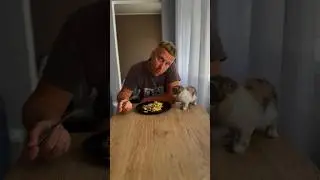 Ну мед 🍯 #рецептсалатаБыстрый салатпростые салаты