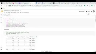 Code review: how to use the Perceptron function