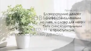 Гнев не творит правды Божьей