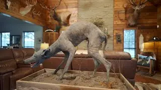 Expedition X | Season 10 Episode 7 Preview | Texas Chupacabra [HD] [2025]