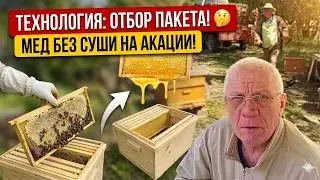 Как заставить пчел тянуть вощину Если у вас нет суши на 145 Что делать