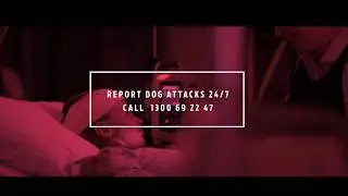 Every dog can attack