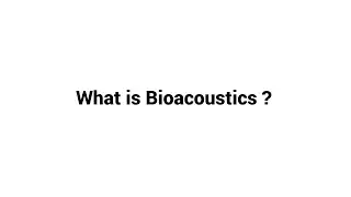 What is Bioacoustics ?
