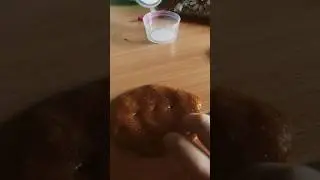 #Слаймы