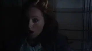 Librarians