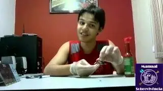 Pegadinha do Babalu