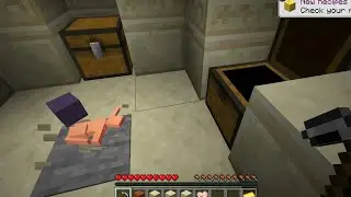 All your Minecraft pain in one video...