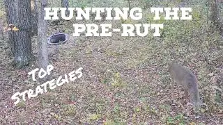 My Strategy For Pre-Rut Hunting a Very Small Property