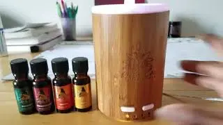 Clean Air with Essential Oils