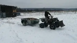 Везём дрова домой на квадроцикле.