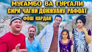 Мугамбо ва Гургали Сири Чанги Донжуану Рафоата фош кардан. 2021