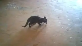Watch me playing