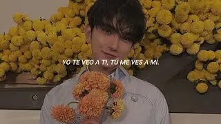 "Darl+ing" - Seventeen [Sub. español]