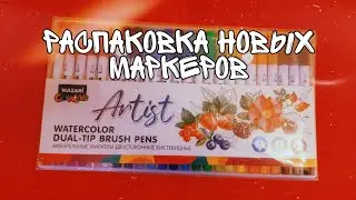 РАСПАКОВКА ПРОФЕССИОНАЛЬНЫХ МАРКЕРОВ😍