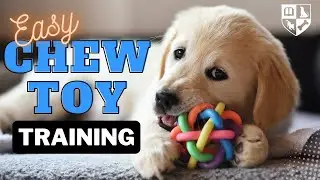 Stop Unwanted Puppy Chewing with a Chew Toy