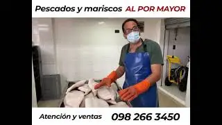 venta al por mayor de Albacora Ecuador