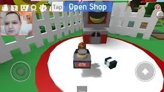 Играем с другом в BeeSwarmSimulator