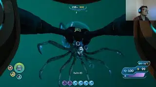 КВАРЦЕВАЯ ЛИХОРАДКА Subnautica#40