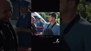 смешные моменты сериала пёс 6