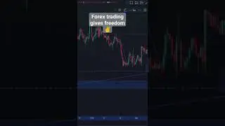 Forex trading is freedom ✌️.     #forex #traders #only #bankniftyintradaytradingstrategy