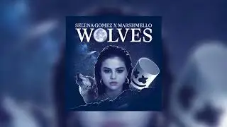 Selena Gomez - Wolves (Studio Acapella)