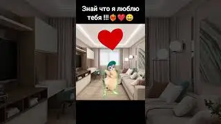 #люблю