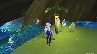 Don't Missed this Hidden Quest & Achievement Vourukasha Oasis in Sumeru | 3.6 update