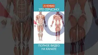 ГЕМОГЛОБИН и МИОГЛОБИН Секреты КИСЛОРОДНОГО обмена в вашем организме! #shotrs #гемоглобин #миоглобин