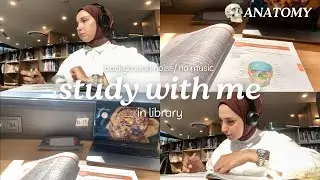 STUDY WITH ME IN LIBRARY /ANATOMY/ NO MUSIC