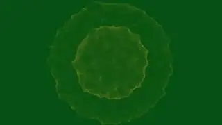 SHOCK WAVE GREEN SCREEN