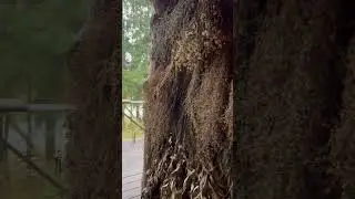Народная русская баня. Как же это хорошо.