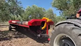 6X6 METRE DİKİM ARALIKLI ZEYTİN BAHÇESİNDE MEYVE TUTMA PLATFORMU DÖNÜŞ HAREKETLERİ
