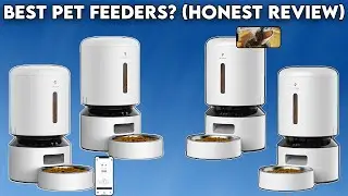 Why You SHOULD Get Petlibro's WIFI and CAMERA Automatic Pet Feeders