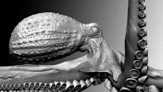 ZBRUSH 4r8 - OCTOPUS FINISH MODELING/ ADDING SIMPLE DETAILS - 03