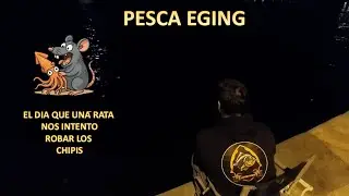 How I Fish for Squid by Eging from the Shore | Lures, Japanese Technique, and Tricks That WORK