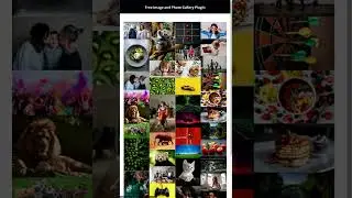 What is the best photo gallery plugin for WordPress? 