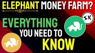 Elephant Money Farms: Everything You Need To Know