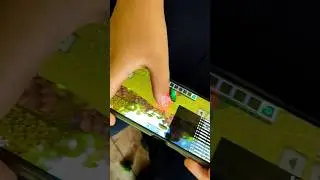 Когда запретили тапать хомяка 