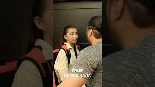 Тизер